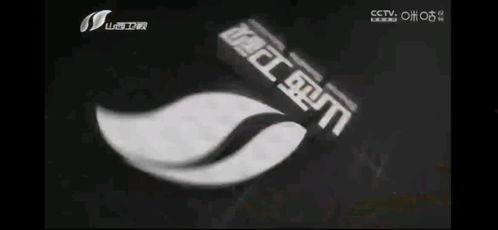 中央新闻13频道爆料视频,揭秘重大事件内幕